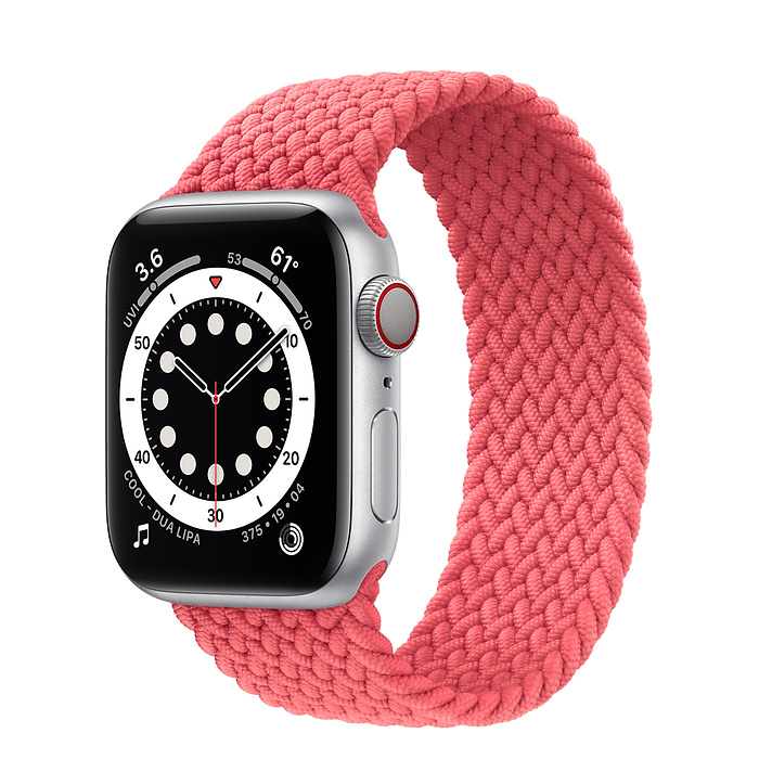 Silver Aluminum Case with Braided Solo 